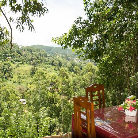 Rose Dale Homestay エッラ エクステリア 写真