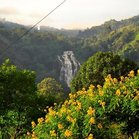 Rose Dale Homestay エッラ エクステリア 写真