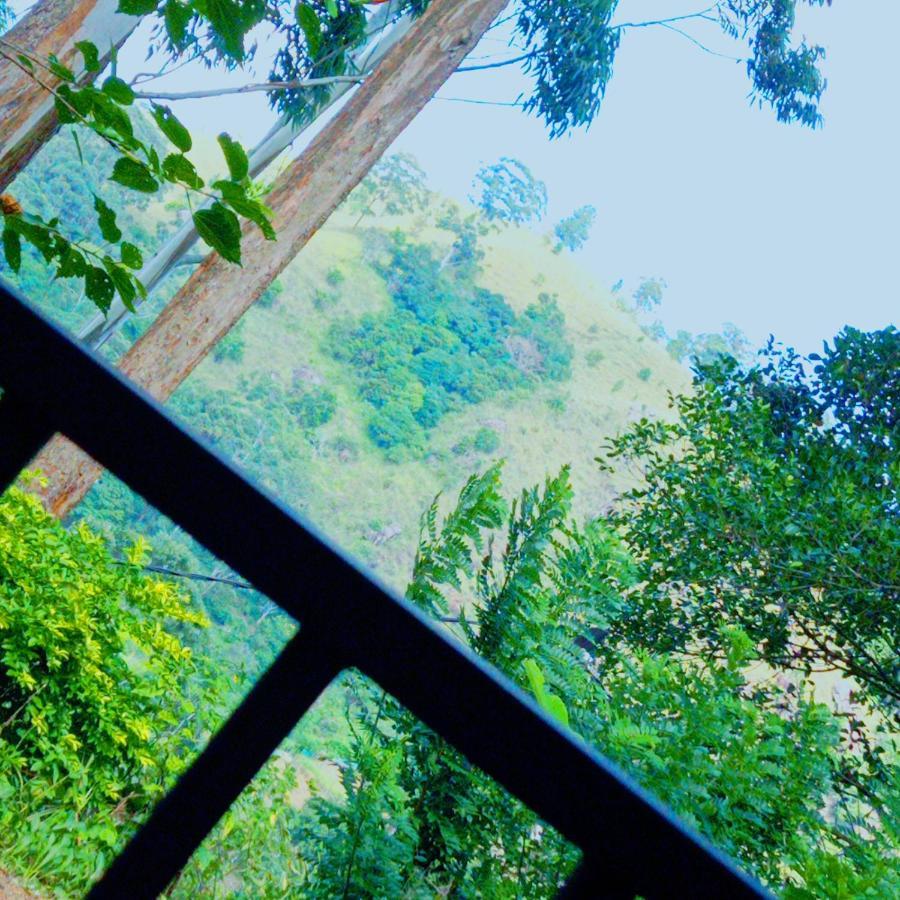 Rose Dale Homestay エッラ エクステリア 写真