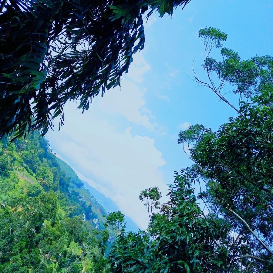 Rose Dale Homestay エッラ エクステリア 写真
