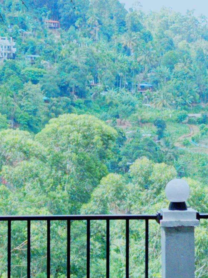 Rose Dale Homestay エッラ エクステリア 写真