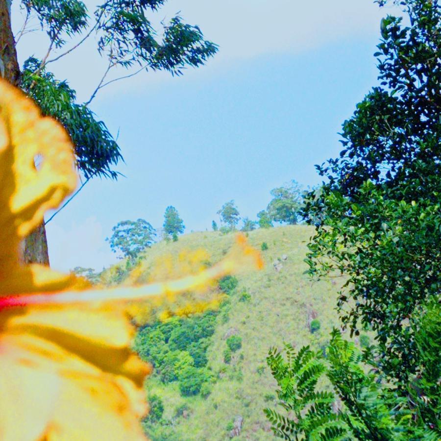 Rose Dale Homestay エッラ エクステリア 写真
