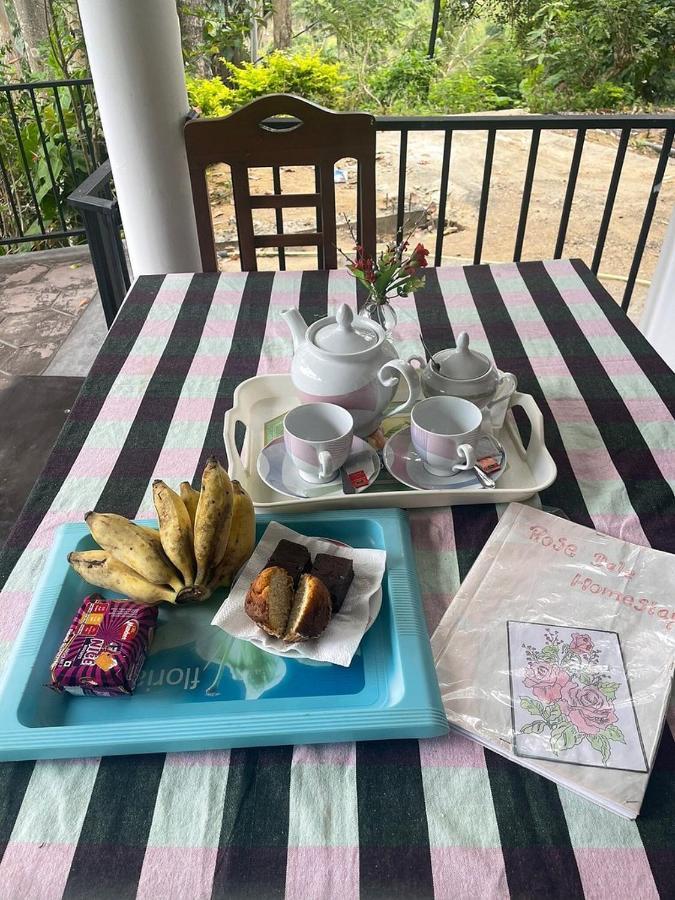 Rose Dale Homestay エッラ エクステリア 写真