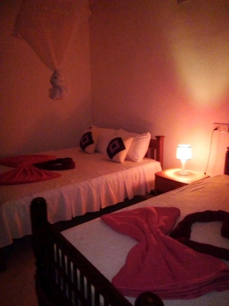 Rose Dale Homestay エッラ エクステリア 写真