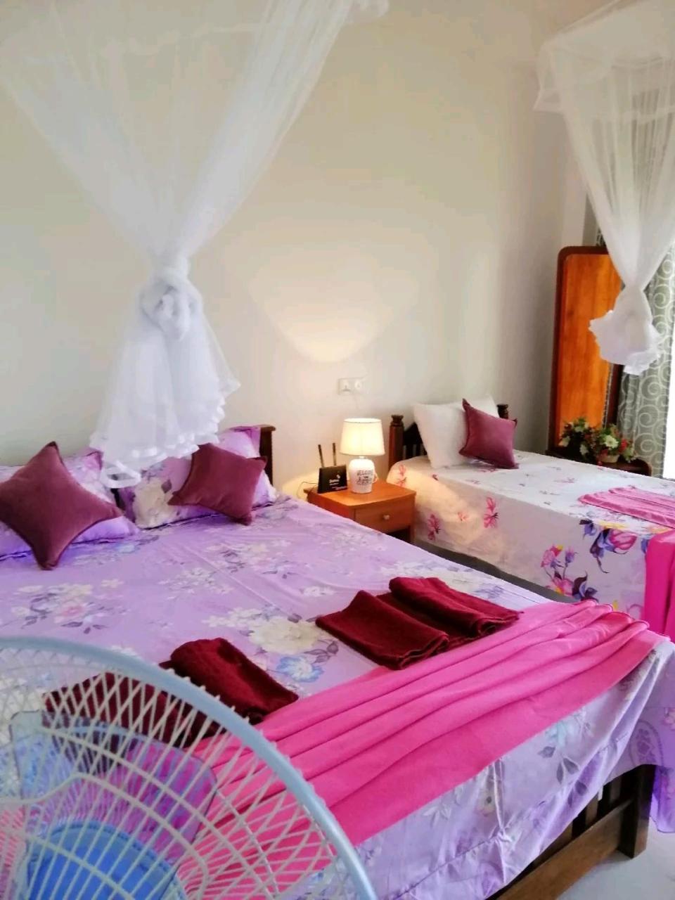Rose Dale Homestay エッラ エクステリア 写真