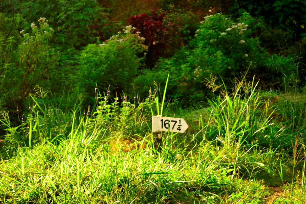 Rose Dale Homestay エッラ エクステリア 写真